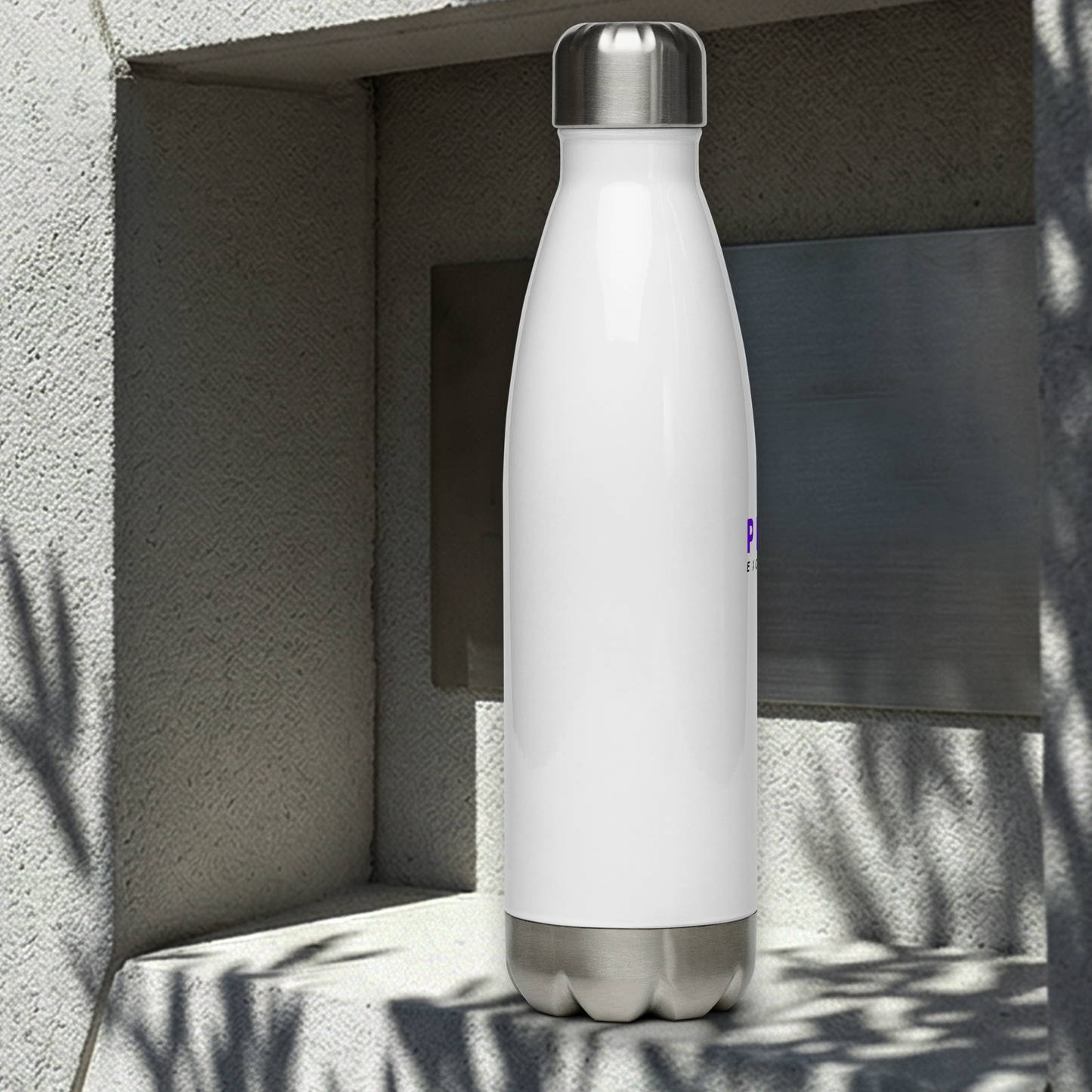 Stainless Steel Water Bottle