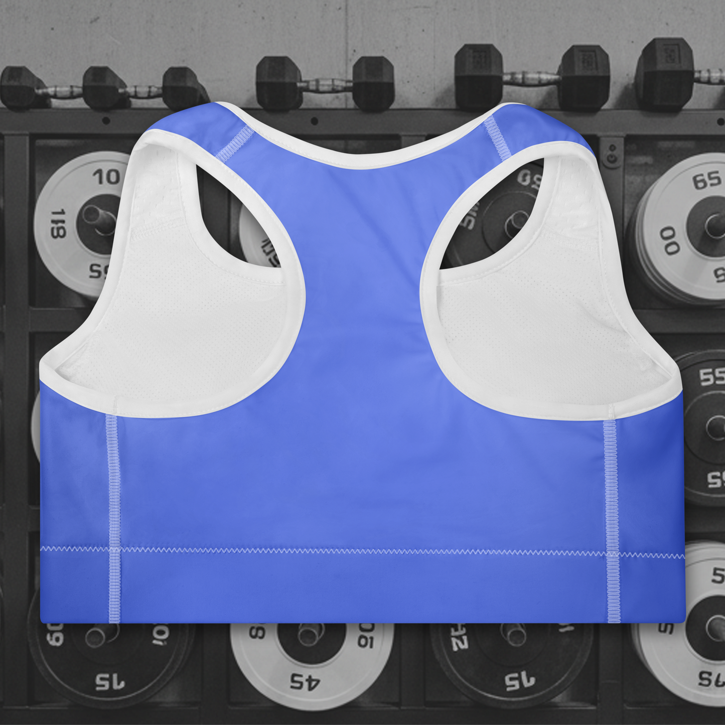 Premium Padded Sports Bra - Baby Blue